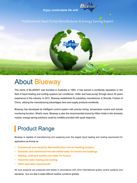 Blueway Company Вовед